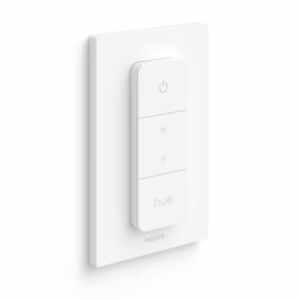Hue Dimmer switch