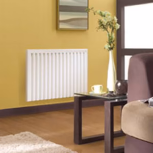 Radiateur électeur à inertie