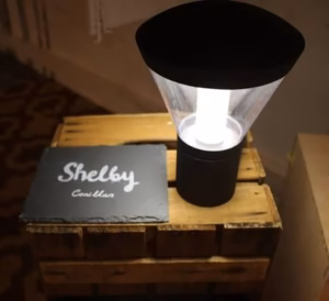 Faro SHELBY