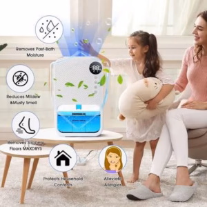 déshumidificateur électrique portable