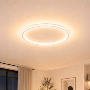 Plafonnier LED rond avec driver remplaçable