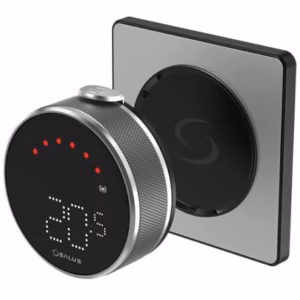 Thermostat intelligent