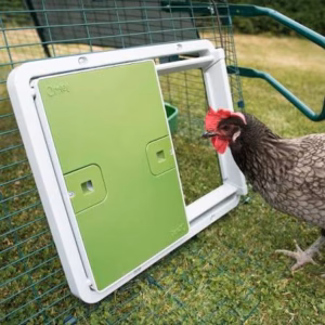 Porte Automatique intelligente pour poulailler Wi-Fi Omlet