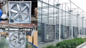 ventilateur de toit hygroréglable (type Yichen)